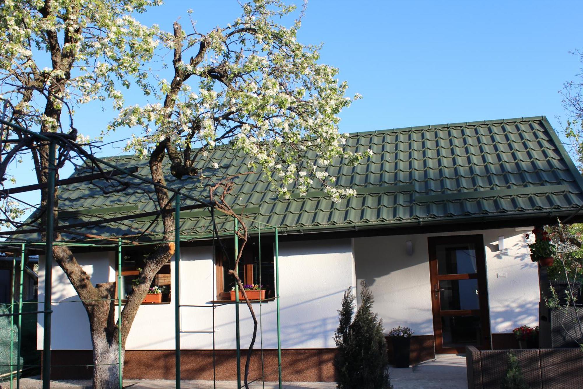 Casuta Artistilor Villa Breaza  Exterior photo