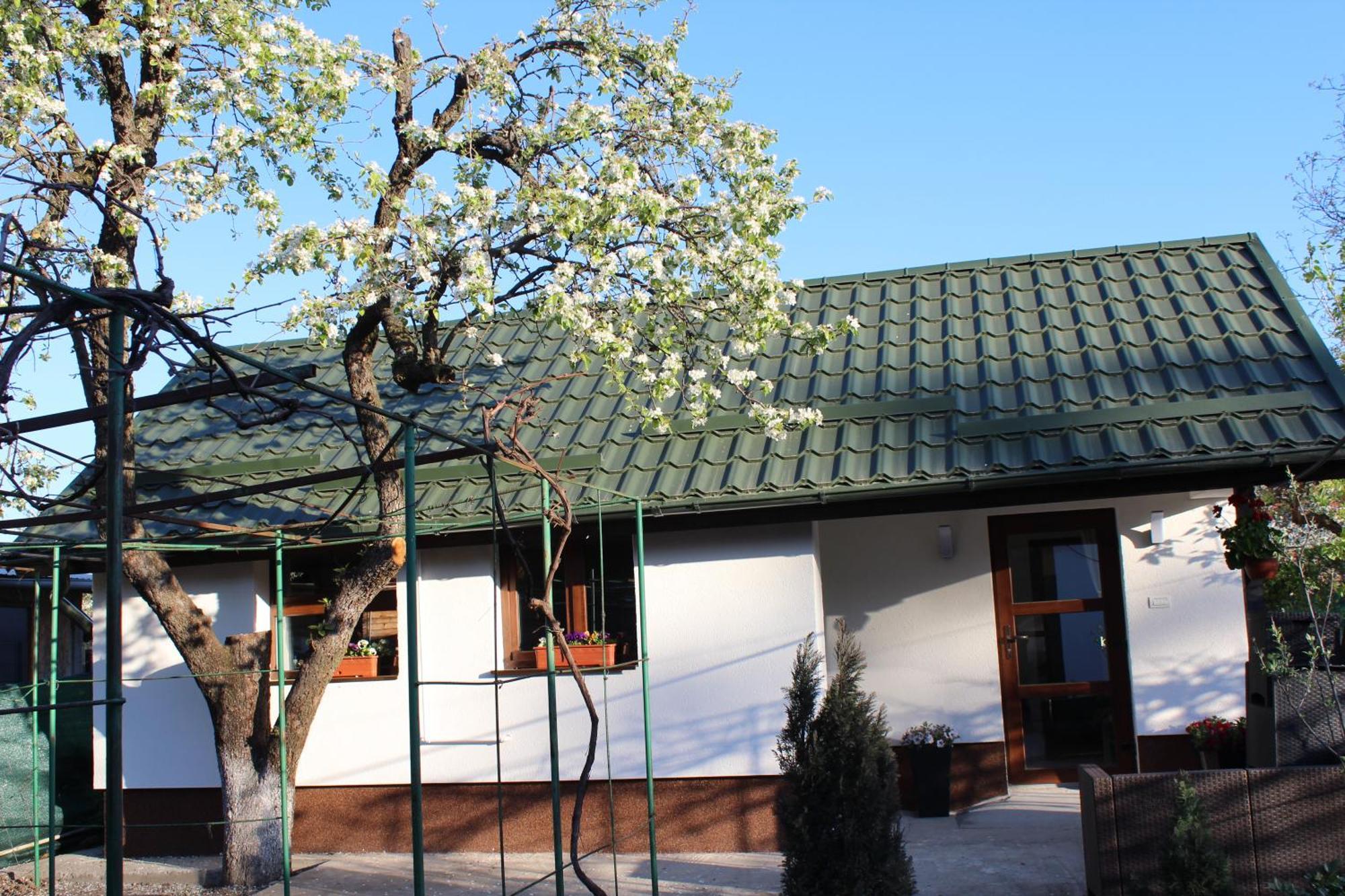 Casuta Artistilor Villa Breaza  Exterior photo